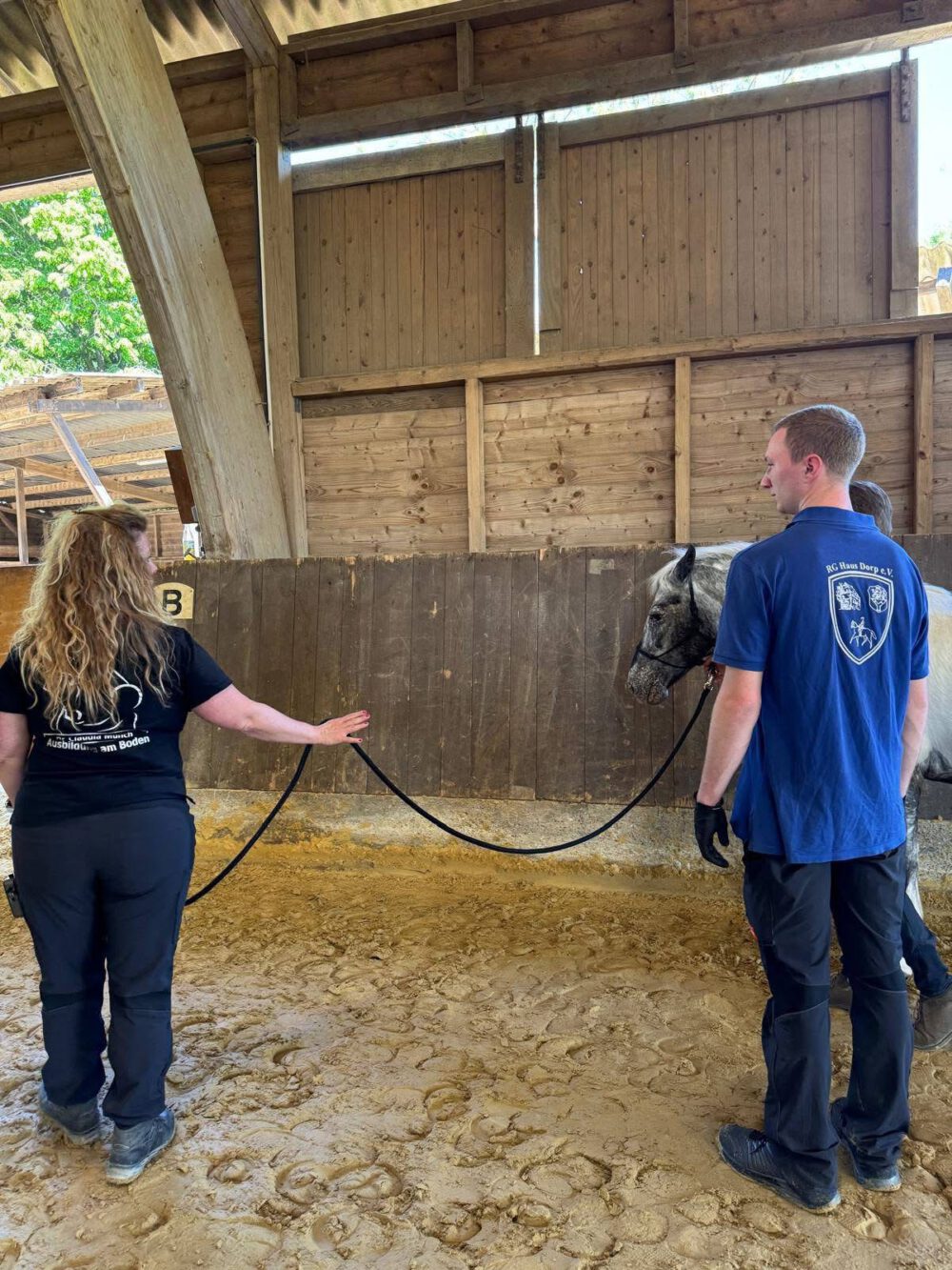 Turnier „Ausbildung am Boden“