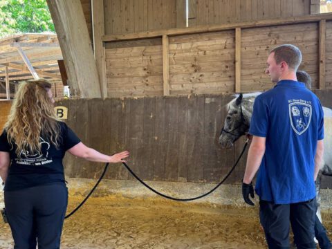 Turnier „Ausbildung am Boden“